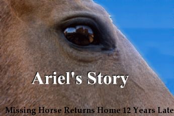 Missing Horse Returns Home 12 Years Later